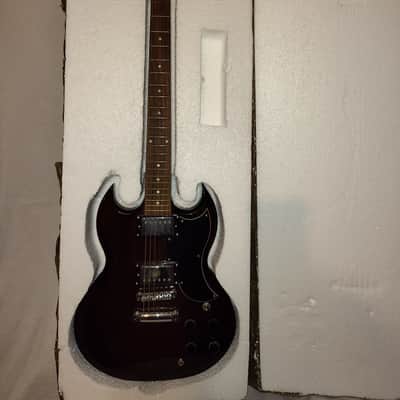 Jay Turser JT50 Set Neck Very Solid Guitar image 11