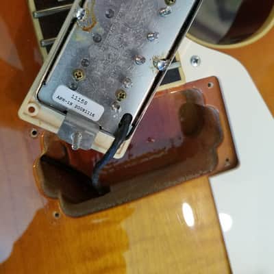 2009 Edwards Pure Material Honey Burst image 21