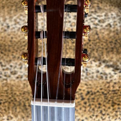 Cordoba C10 CD Cedar Classical Guitar Natural 2025 image 12