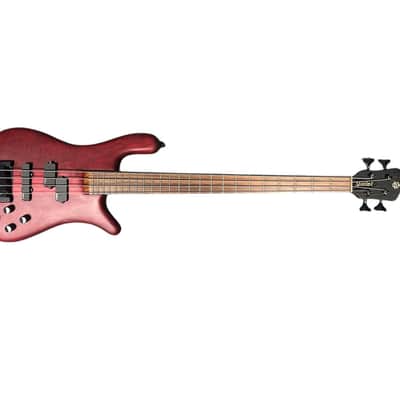 Spector USA Forte, *RARE* 2019 Trans Red Stain, Pau Ferro , USED In Excellent Condition, 8 LBS *IN STOCK* image 6