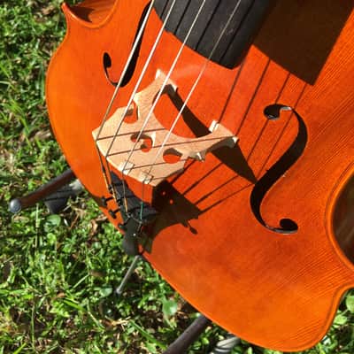 Tenor Violin (half-size cello tuned GDAE) image 6