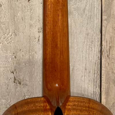 New Cordoba C9 Cedar Classical Natural, Stunning Guitar, Support Small Business & Buy it Here ! image 13