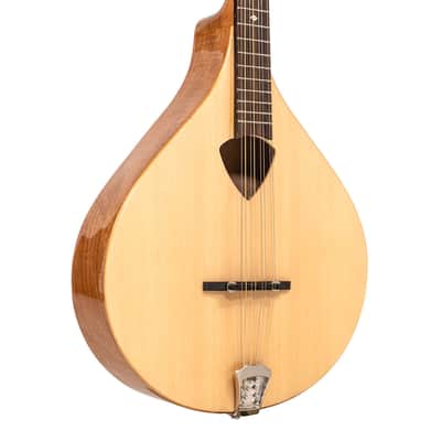 Gold Tone BZ-500 Folkternative Design Solid Spruce Top Irish Bouzouki Mandolin with Hardshell Case image 4