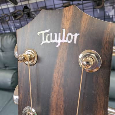 Taylor 314e with V-Class Bracing 2025 - Natural image 16
