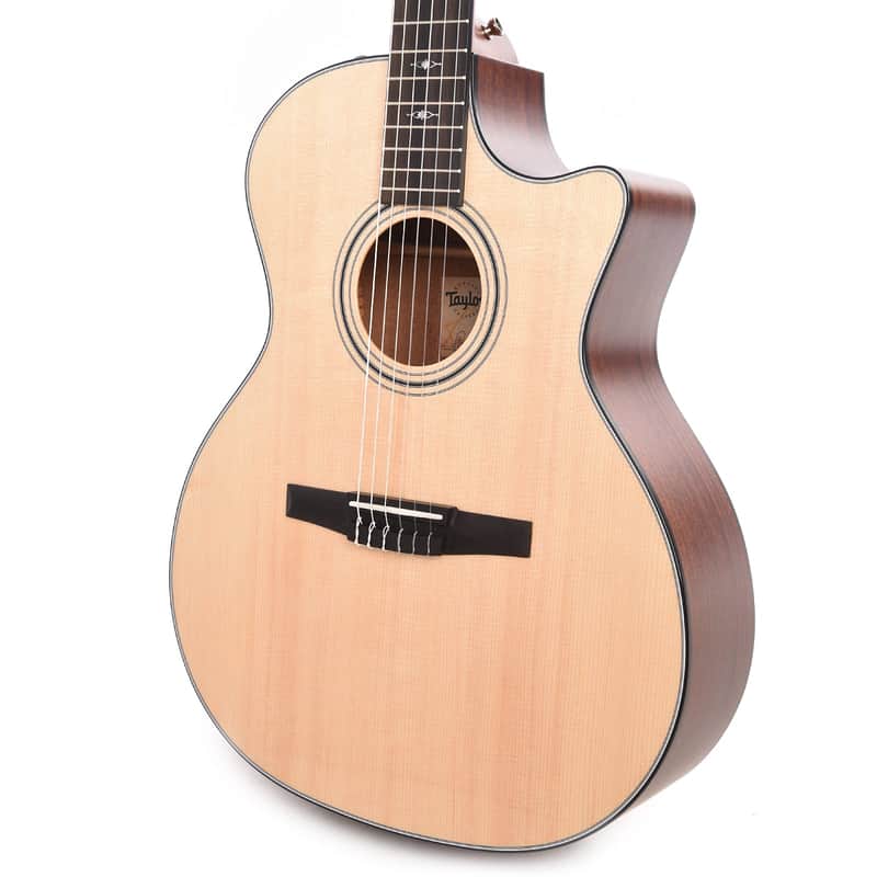 Taylor 314ce-N image 3