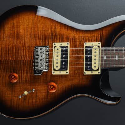 Paul Reed Smith SE Custom 24 '24 image 1