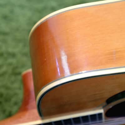 Vintage 1982 Ibanez NW-30 Acoustic Dreadnaught Guitar w/ SSC image 9
