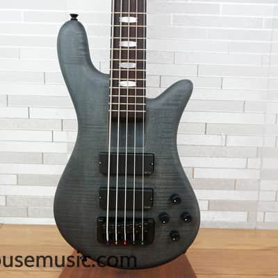 Immagine Spector Euro 5 LX - Trans Black Stain Matte - 1