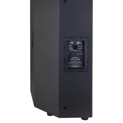 Peavey SP 2 1000-Watt 2-Way PA Speaker image 2