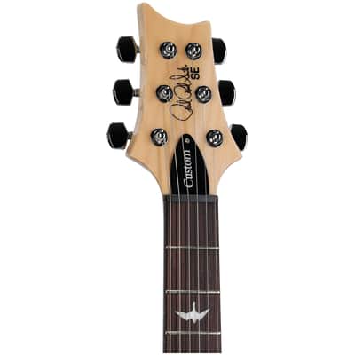 PRS Paul Reed Smith SE Custom 24 Limited Edition Electric Guitar (with Gig Bag), Blue Fade image 7