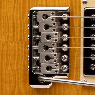 Paul Reed Smith SE DGT David Grissom Signature Electric Guitar - McCarty Tobacco Sunburst w/Bird Inlays image 13
