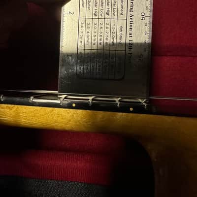 Vintage 1980s Wildwood Open Back Minstrel Banjo Natural Finish image 7