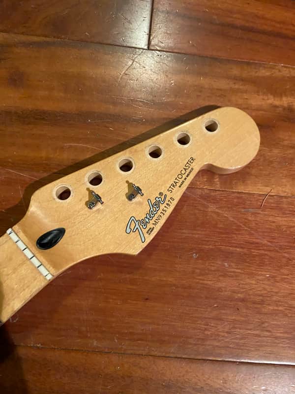 Fender Standard Stratocaster Neck, 21-Fret | Reverb