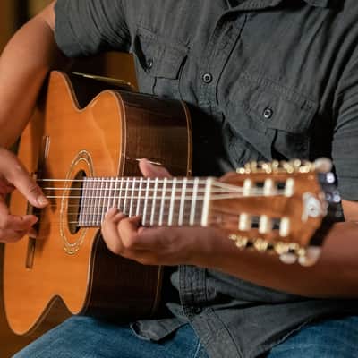 Ortega RCE159MN Performer Series Solid Cedar Top Mahogany Neck Cutaway Nylon 6-String Classical Acoustic-Electric Guitar w/Gig Bag image 23
