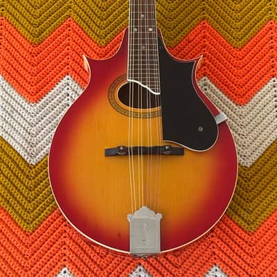 Ibanez Mandolin 1970’s Made in Japan 🇯🇵! - Incredible Sound! - Beautiful Instrument! - image 11