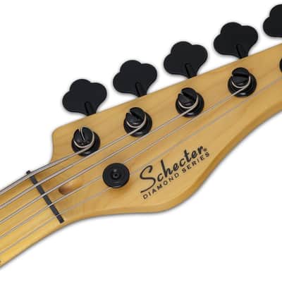 Schecter SCH.2847 Model-T Session-5 Aged Natural Satin image 16