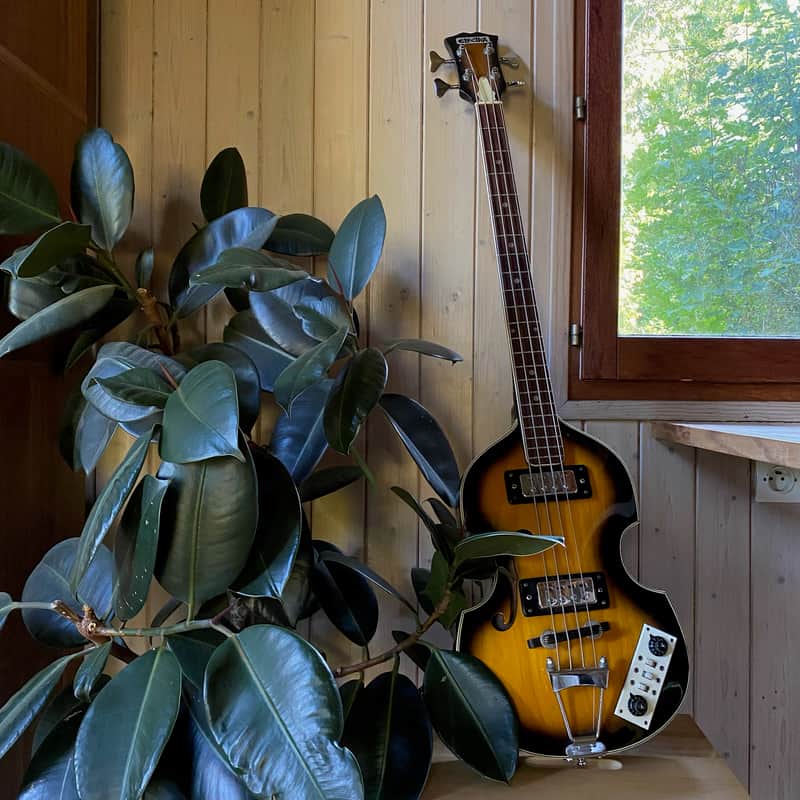 Japanese Vintage Electra Viola Bass image 1