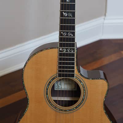 Larrivee LV-10 E 2002 - Mint image 12