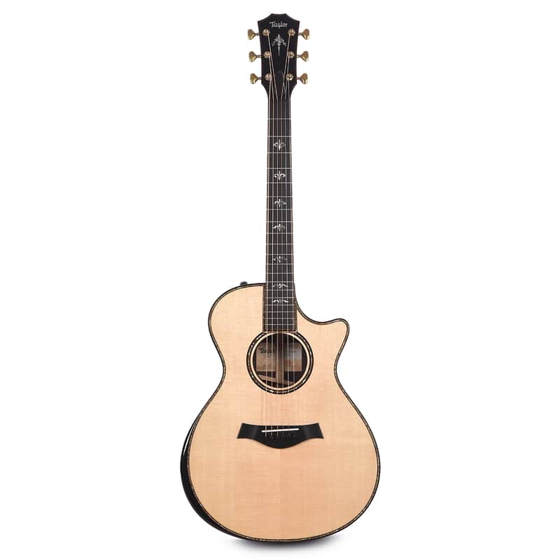 Taylor 912ce with V-Class Bracing image 1