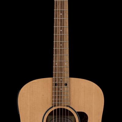 Taylor Big Baby Taylor (BBTe) #26065 (Demonstration Model) image 5