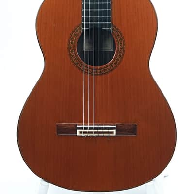 Pedro Maldonado Flamenco Negra 1974 image 5