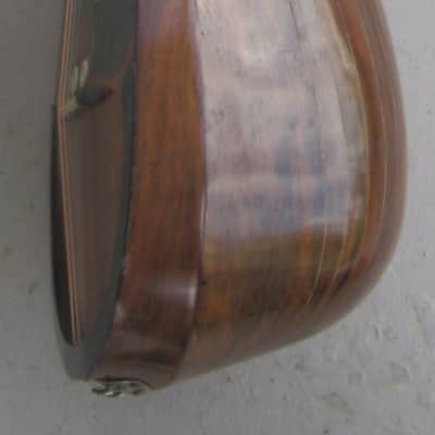 Calace Mandolin 1905 - Natural image 7