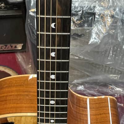 Luna Vista Bear Acoustic-Electric with Case 2010s - Natural image 5