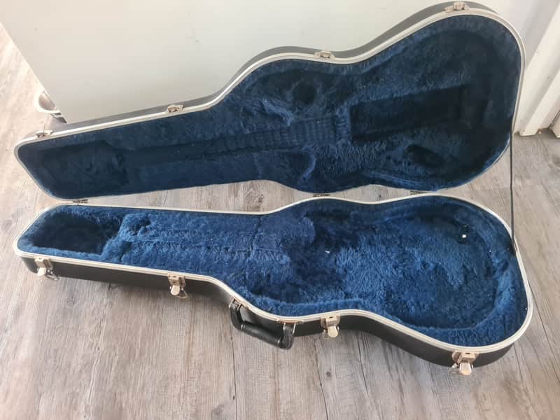 Peavey EVH Wolfgang hard case 2005 image 1
