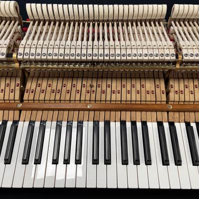 Steinway Model M 5'7" Grand Piano 1924 (Restored) - Satin Mahogany image 20