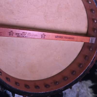 Vega "Little Wonder" 1910-1915 - Natural Maple image 5