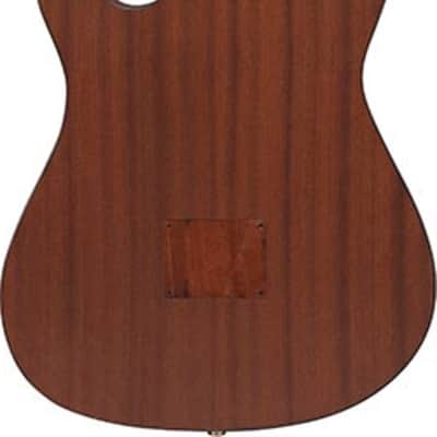 Ibanez FRH10N Thinline Acoustic-Electric Classical Guitar, Solid Spruce Top, Brown Sunburst image 3