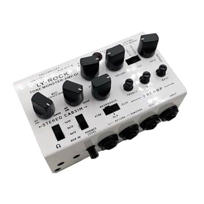 Ly rock Tone Monster Cabinet Amp DI(8-in-1 Multi-function 0-Watt Stereo Guitar Amp),price include the import duty for US buyer image 3