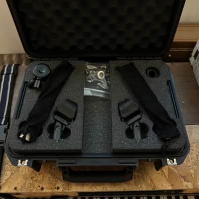 AEA Nuvo N22 Pair + Stereo Accessory Kit - 2022 image 6