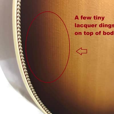 Alvarez AFH600CESHB Artist Herringbone Series Folk/OM Acoustic-Electric Guitar image 11