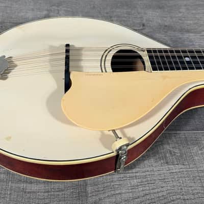 Gibson A-3 Mandolin 1919 - Ivory Top image 2