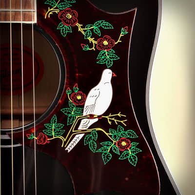 Gibson Ebony Dove Guitar image 7