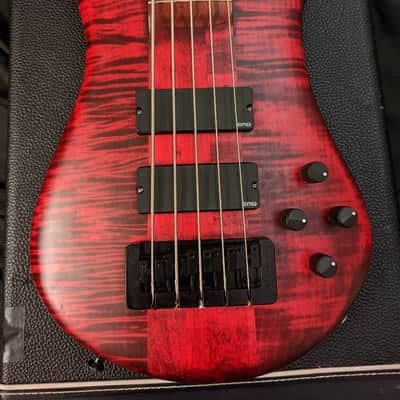 Spector 5w LE 2017 Black Cherry image 5