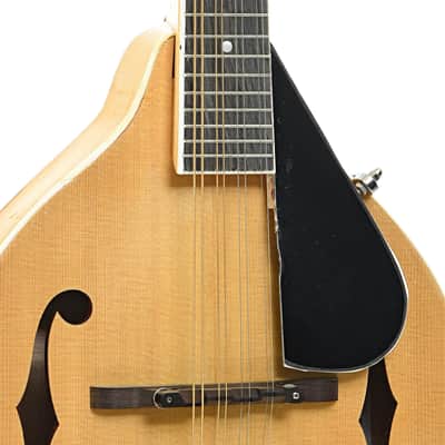 Jordan L. Buck A-Style Kit Mandolin (2024) image 6