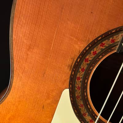 1965 Manuel de la Chica Flamenco Guitar image 19