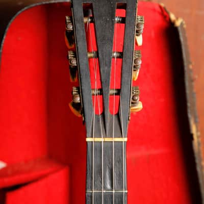 Windsor Ariste Model 4 Zither Banjo Circa 1910s Made in UK Pre-Owned image 3