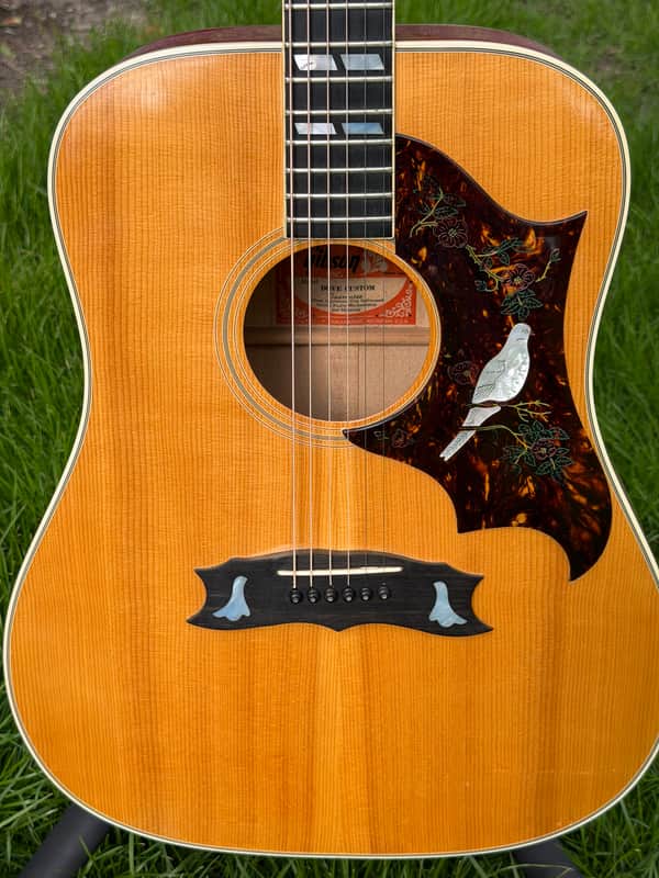 Gibson Dove 1974 - 1975 - Natural - Excellent