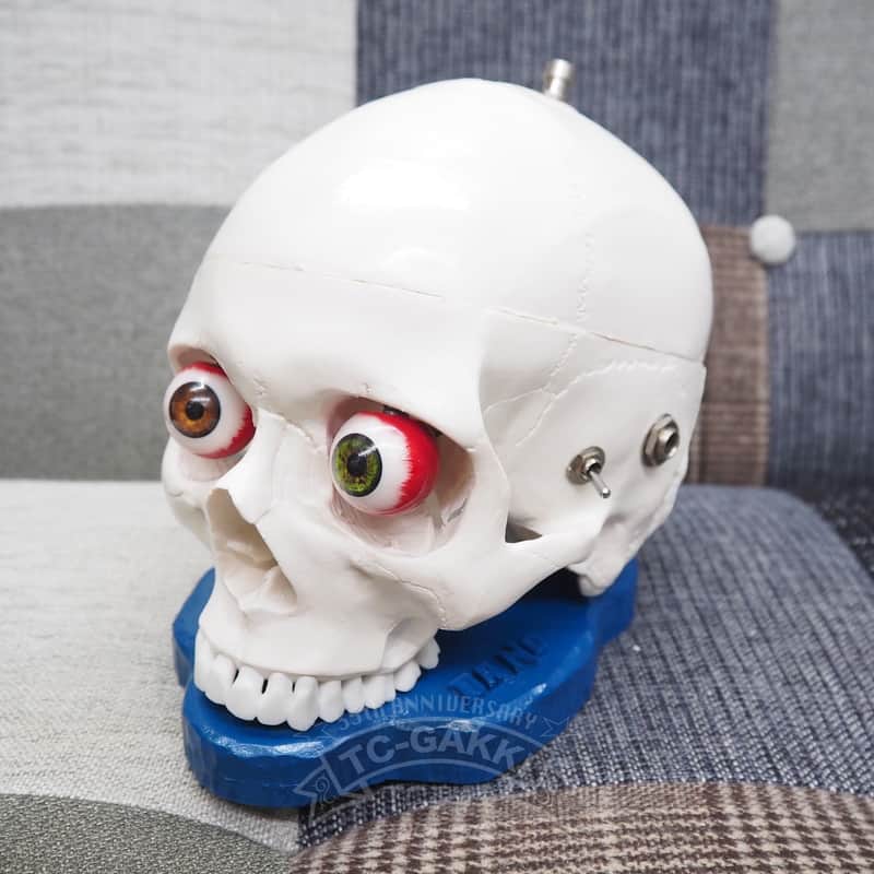 DR.NO effects Skull Fuzz “Original” image 1