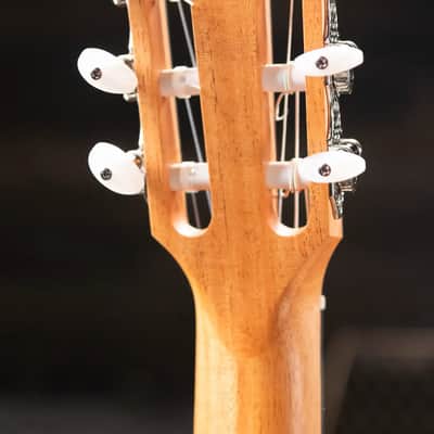 Taylor 212ce-N Plus Nylon Grand Concert Acoustic/Electric Guitar with Aerocase image 6
