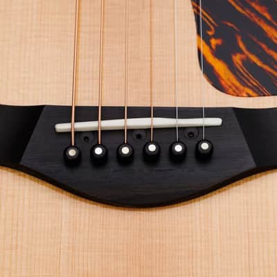 Taylor Guitar - 50th Anniversary 314ce LTD (2025 or Earlier) image 5
