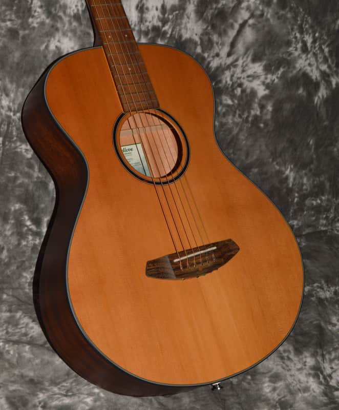 2022 Breedlove - Discovery S Concertina imagen 1