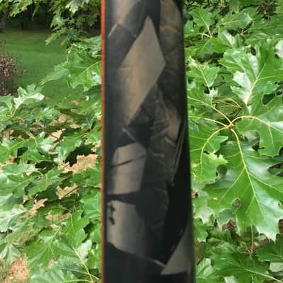 Modulus Q5 lined fretless 1999 figured Walnut top image 6