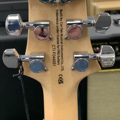 PRS SE Custom 24 - 2023 - Turquoise image 6
