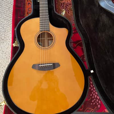Breedlove Performer Pro CE image 6