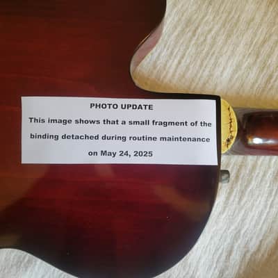 Gretsch 6119 Chet Atkins Tennessean 1967 - Deep Rose Cherry Finish image 22