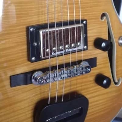 Ollandoc Trey Anastasio Languedoc Replica, PHISH image 2